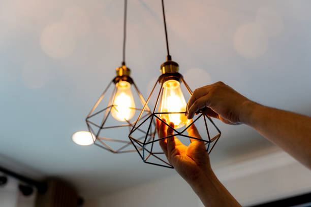 Best Electric Panel Repair  in Wedgefield, SC